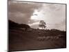 A Shepherd Surveys His Flock at the End of the Day, 1935-null-Mounted Photographic Print