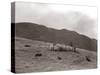 A Shepherd with His Border Collie Sheep Dogs Checks His Flock Somewhere on the Cumbrian Hills, 1935-null-Stretched Canvas