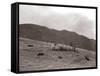 A Shepherd with His Border Collie Sheep Dogs Checks His Flock Somewhere on the Cumbrian Hills, 1935-null-Framed Stretched Canvas