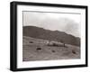 A Shepherd with His Border Collie Sheep Dogs Checks His Flock Somewhere on the Cumbrian Hills, 1935-null-Framed Photographic Print