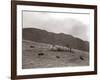 A Shepherd with His Border Collie Sheep Dogs Checks His Flock Somewhere on the Cumbrian Hills, 1935-null-Framed Photographic Print