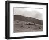 A Shepherd with His Border Collie Sheep Dogs Checks His Flock Somewhere on the Cumbrian Hills, 1935-null-Framed Photographic Print