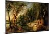 A Shepherd with His Flock in a Woody Landscape, C.1615-22 (Oil on Oak)-Peter Paul Rubens-Mounted Giclee Print