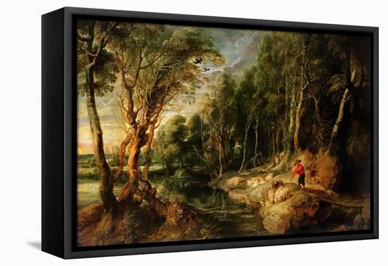 A Shepherd with His Flock in a Woody Landscape, C.1615-22 (Oil on Oak)-Peter Paul Rubens-Framed Stretched Canvas