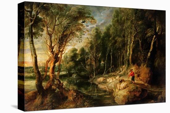 A Shepherd with His Flock in a Woody Landscape, C.1615-22 (Oil on Oak)-Peter Paul Rubens-Stretched Canvas