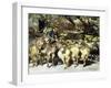 A Shepherd with his Flock-Heinrich Zugel-Framed Giclee Print