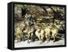 A Shepherd with his Flock-Heinrich Zugel-Framed Stretched Canvas