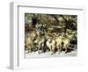 A Shepherd with his Flock-Heinrich Zugel-Framed Giclee Print