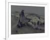 A Shepherdess, C.1890-95-William Kennedy-Framed Giclee Print