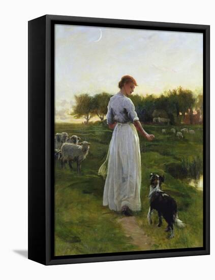 A Shepherdess with Her Dog and Flock in a Moonlit Meadow-George Faulkner Wetherbee-Framed Stretched Canvas