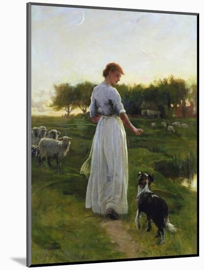 A Shepherdess with Her Dog and Flock in a Moonlit Meadow-George Faulkner Wetherbee-Mounted Giclee Print