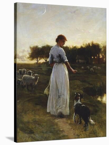 A Shepherdess with her Dog and Flock in a Moonlit Meadow-George Faulkener Wetherbee-Stretched Canvas