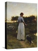 A Shepherdess with her Dog and Flock in a Moonlit Meadow-George Faulkener Wetherbee-Stretched Canvas