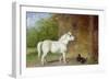 A Shetland Pony and a King Charles Spaniel-Martin Theodore Ward-Framed Giclee Print