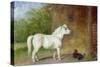 A Shetland Pony and a King Charles Spaniel-Martin Theodore Ward-Stretched Canvas