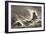 A Ship of the Spanish Armada, Wrecked on the West Coast of Ireland, Illustration from 'spanish…-null-Framed Giclee Print