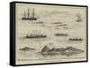 A Ship's Regatta at Trinidad-Thomas Harrington Wilson-Framed Stretched Canvas