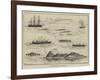 A Ship's Regatta at Trinidad-Thomas Harrington Wilson-Framed Giclee Print