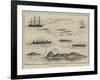 A Ship's Regatta at Trinidad-Thomas Harrington Wilson-Framed Giclee Print