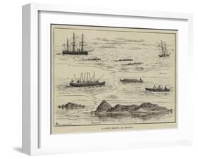 A Ship's Regatta at Trinidad-Thomas Harrington Wilson-Framed Giclee Print