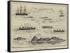 A Ship's Regatta at Trinidad-Thomas Harrington Wilson-Framed Stretched Canvas