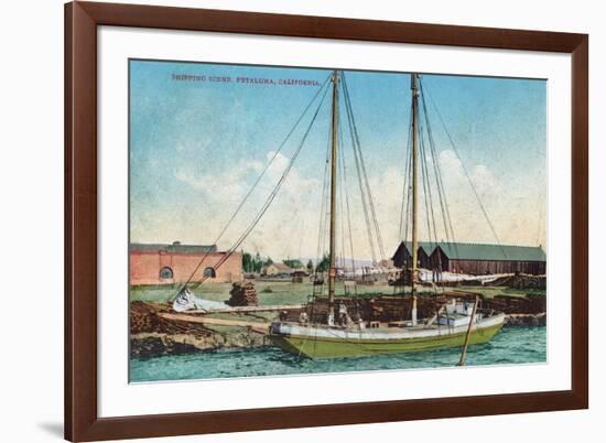 A Shipping Schooner Scene - Petaluma, CA-Lantern Press-Framed Art Print