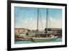 A Shipping Schooner Scene - Petaluma, CA-Lantern Press-Framed Art Print