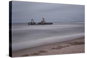 A Shipwreck Near Cape Cross, Namibia-Alex Saberi-Stretched Canvas