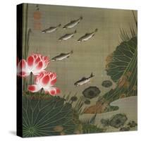 A Shoal of Trout and Lotus-Jakuchu Ito-Stretched Canvas