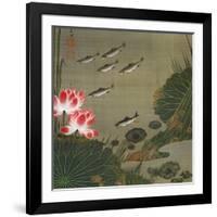 A Shoal of Trout and Lotus-Jakuchu Ito-Framed Giclee Print