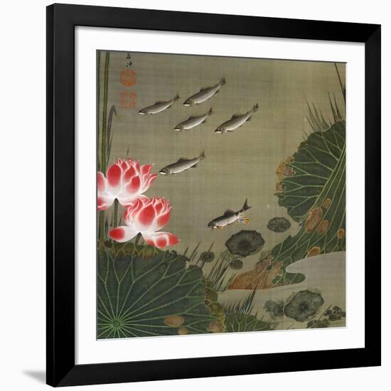 A Shoal of Trout and Lotus-Jakuchu Ito-Framed Giclee Print