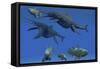 A Shonisaurus Ichthyosaur Stabs a Coelacanth Fish in Triassic Seas-Stocktrek Images-Framed Stretched Canvas