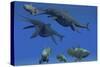 A Shonisaurus Ichthyosaur Stabs a Coelacanth Fish in Triassic Seas-Stocktrek Images-Stretched Canvas