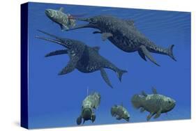 A Shonisaurus Ichthyosaur Stabs a Coelacanth Fish in Triassic Seas-Stocktrek Images-Stretched Canvas
