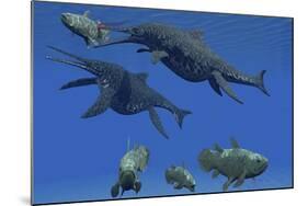 A Shonisaurus Ichthyosaur Stabs a Coelacanth Fish in Triassic Seas-Stocktrek Images-Mounted Art Print