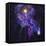 A Shooting Star Radiates Out from a Black Hole in the Center of a Galaxy-Stocktrek Images-Framed Stretched Canvas