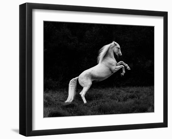 A Short Story of a Blade of Grass in a Hoof-Cembrzynski Ignacy-Framed Giclee Print