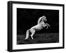 A Short Story of a Blade of Grass in a Hoof-Cembrzynski Ignacy-Framed Giclee Print