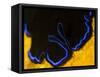 A Shot of a Flatworm Gliding over an Orange Sponge-Eric Peter Black-Framed Stretched Canvas