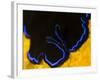 A Shot of a Flatworm Gliding over an Orange Sponge-Eric Peter Black-Framed Photographic Print