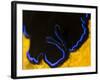 A Shot of a Flatworm Gliding over an Orange Sponge-Eric Peter Black-Framed Photographic Print