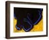 A Shot of a Flatworm Gliding over an Orange Sponge-Eric Peter Black-Framed Photographic Print