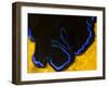 A Shot of a Flatworm Gliding over an Orange Sponge-Eric Peter Black-Framed Photographic Print