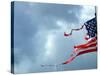 A Shredded U.S. Flag is Blown by the Wind-null-Stretched Canvas