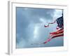 A Shredded U.S. Flag is Blown by the Wind-null-Framed Photographic Print