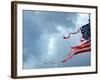 A Shredded U.S. Flag is Blown by the Wind-null-Framed Photographic Print