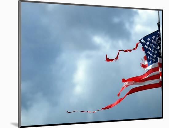 A Shredded U.S. Flag is Blown by the Wind-null-Mounted Photographic Print