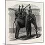 A Siamese War Elephant-null-Mounted Giclee Print