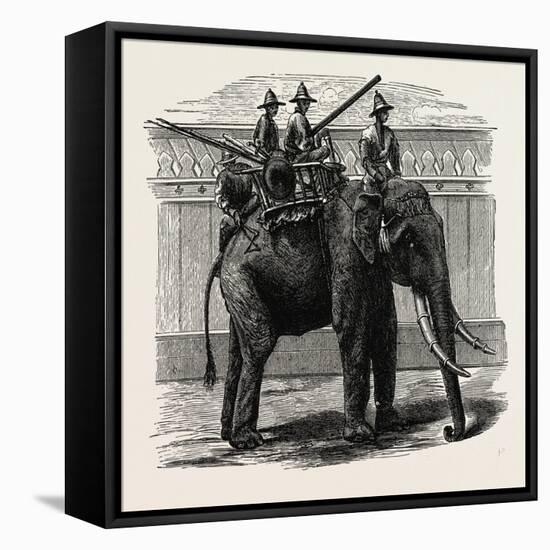 A Siamese War Elephant-null-Framed Stretched Canvas