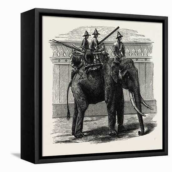 A Siamese War Elephant-null-Framed Stretched Canvas